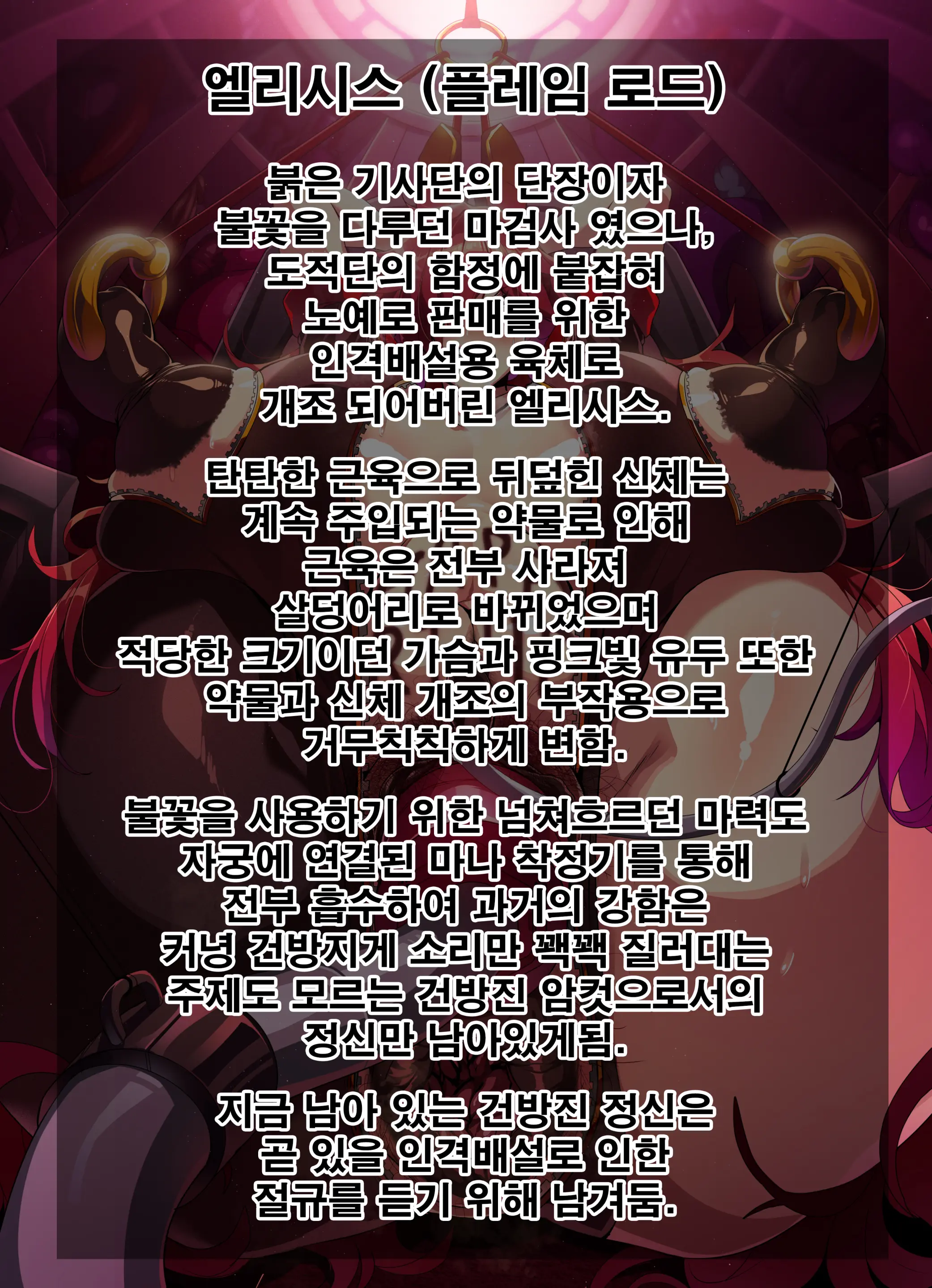 ELSWORD Elesis 1-2-3-4-5-6-7 CG